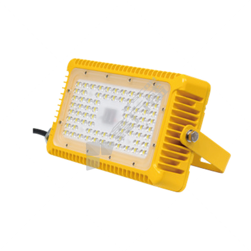尚为（SEVA）SZSW8176-40E 防爆LED通路灯（应急型）功率：40W （单位：盏） SZSW8176-40E